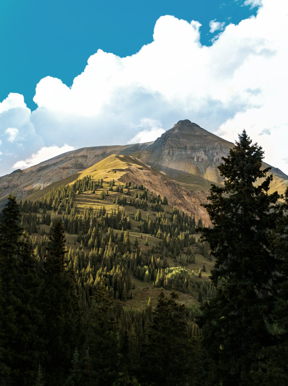 a view of a mountain with trees in the foreground