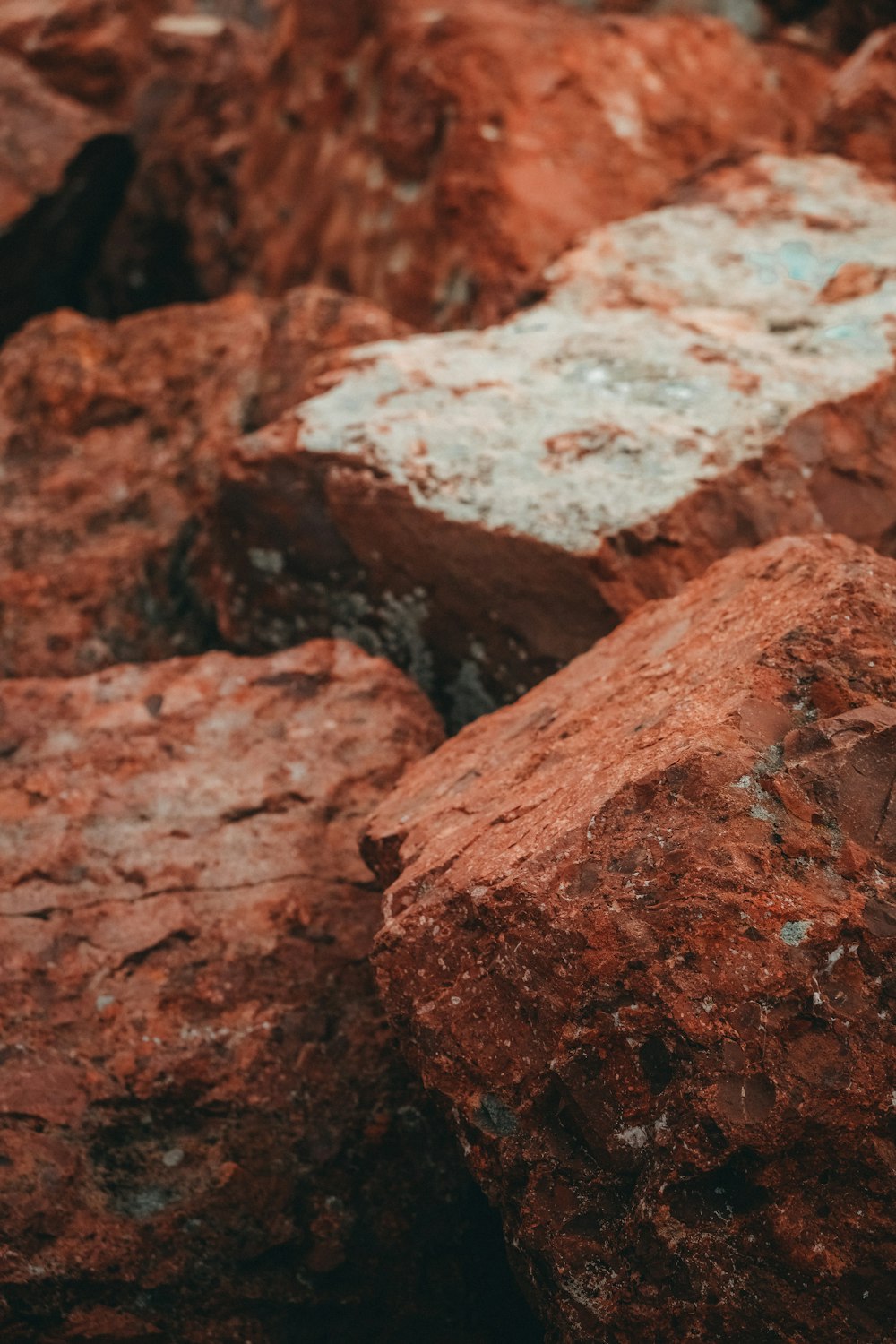 a close up of rocks with a bird on top of them