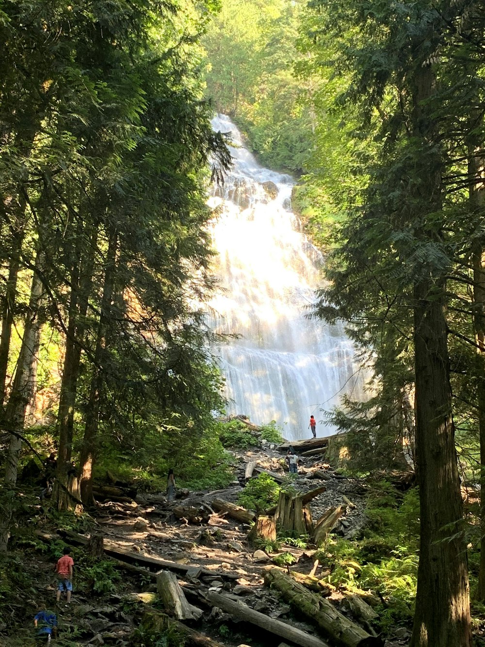 a man standing in the middle of a forest next to a waterfall