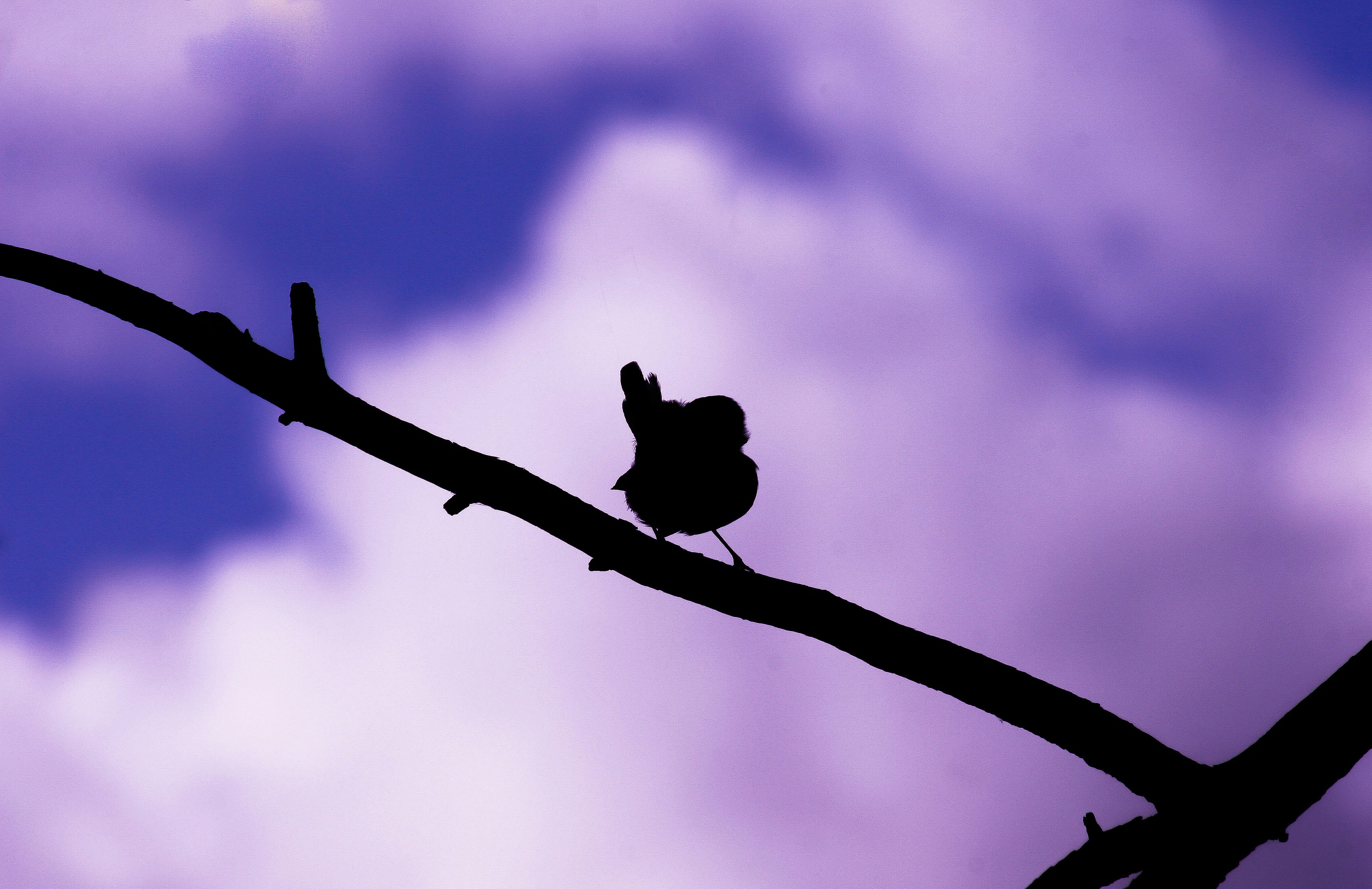 Photo by calemlovelock