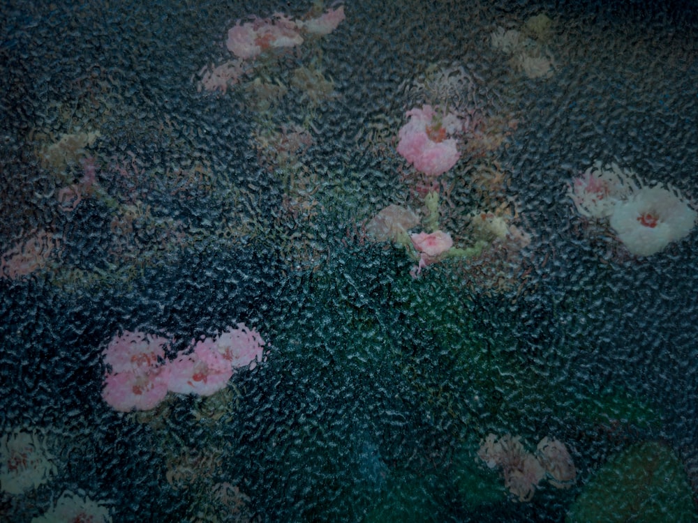 a bunch of pink flowers sitting on top of a window