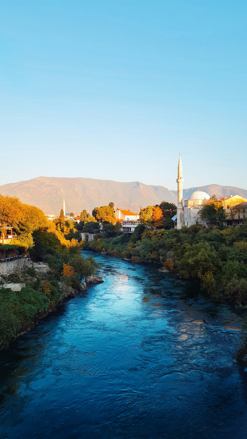 Ein Fluss, der durch eine üppige grüne Landschaft fließt