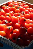 Boxes filled with ripe tomatoes and fresh herbs ready for delivery.