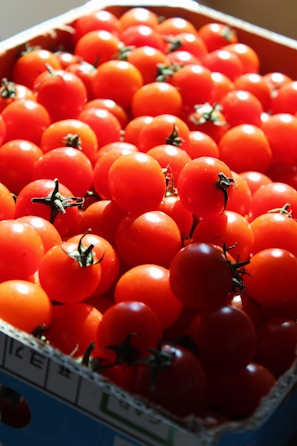 Boxes filled with ripe tomatoes and fresh herbs ready for delivery.
