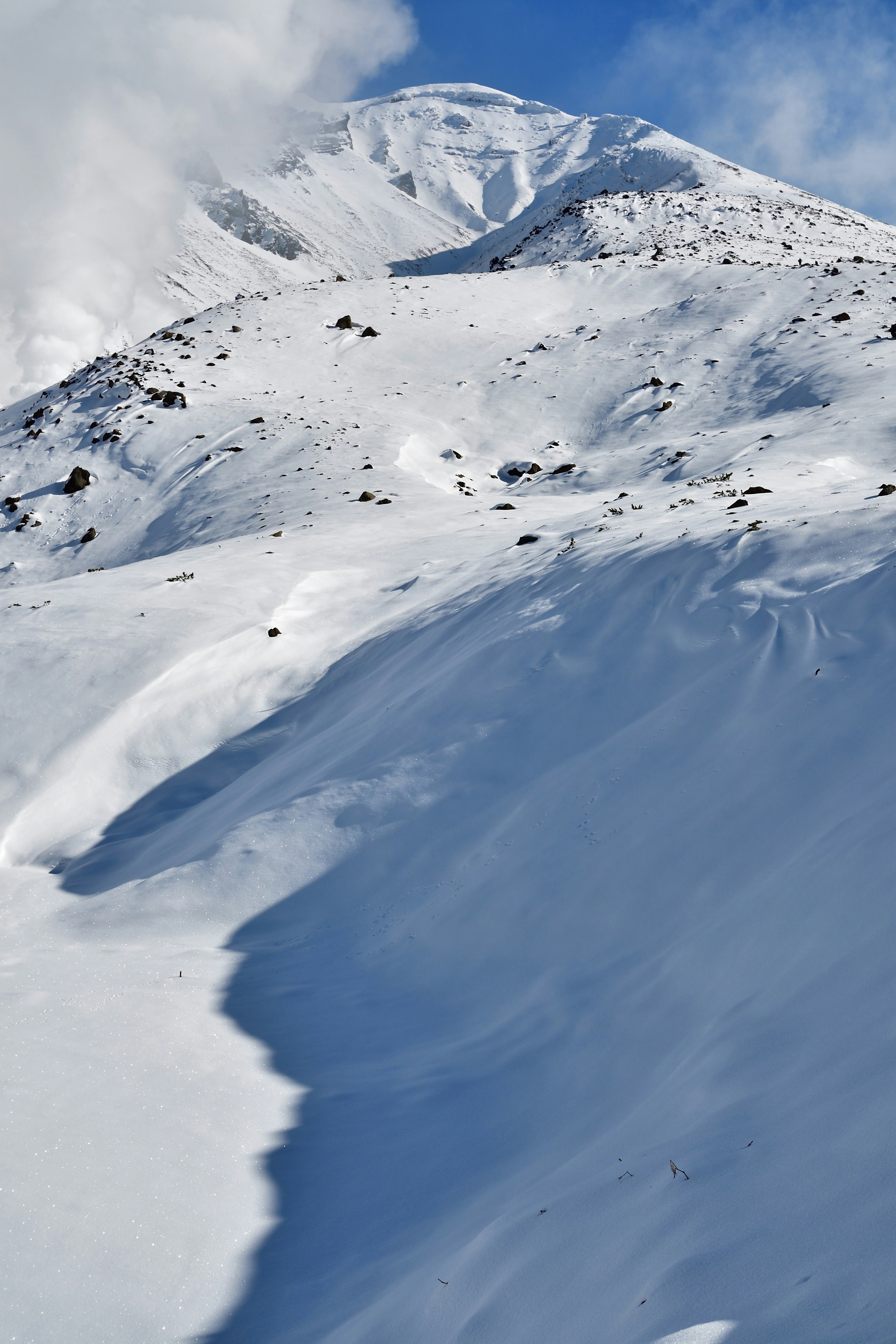 Photo by freezer_nico