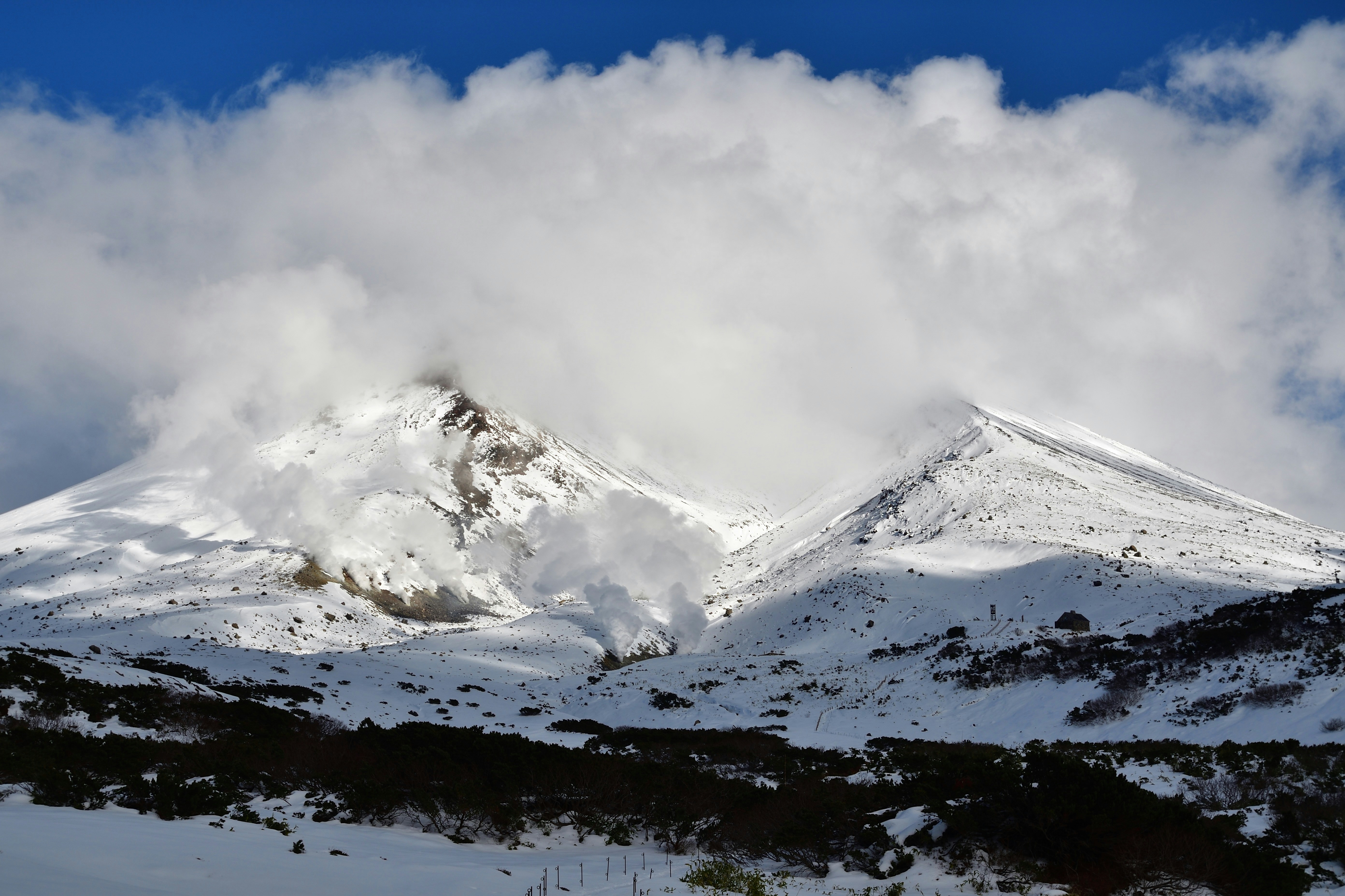 Photo by freezer_nico