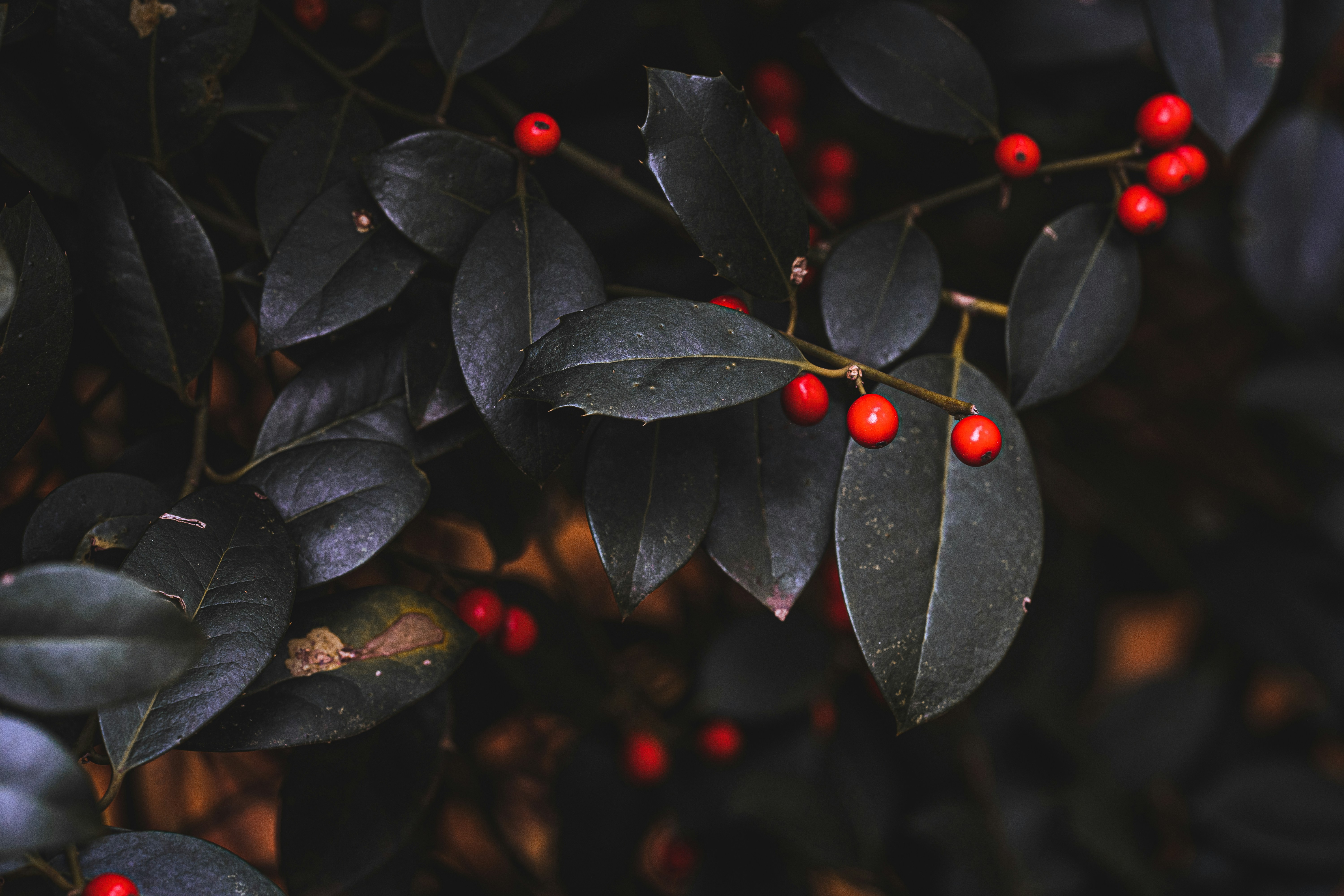 Photo by omarvellous14