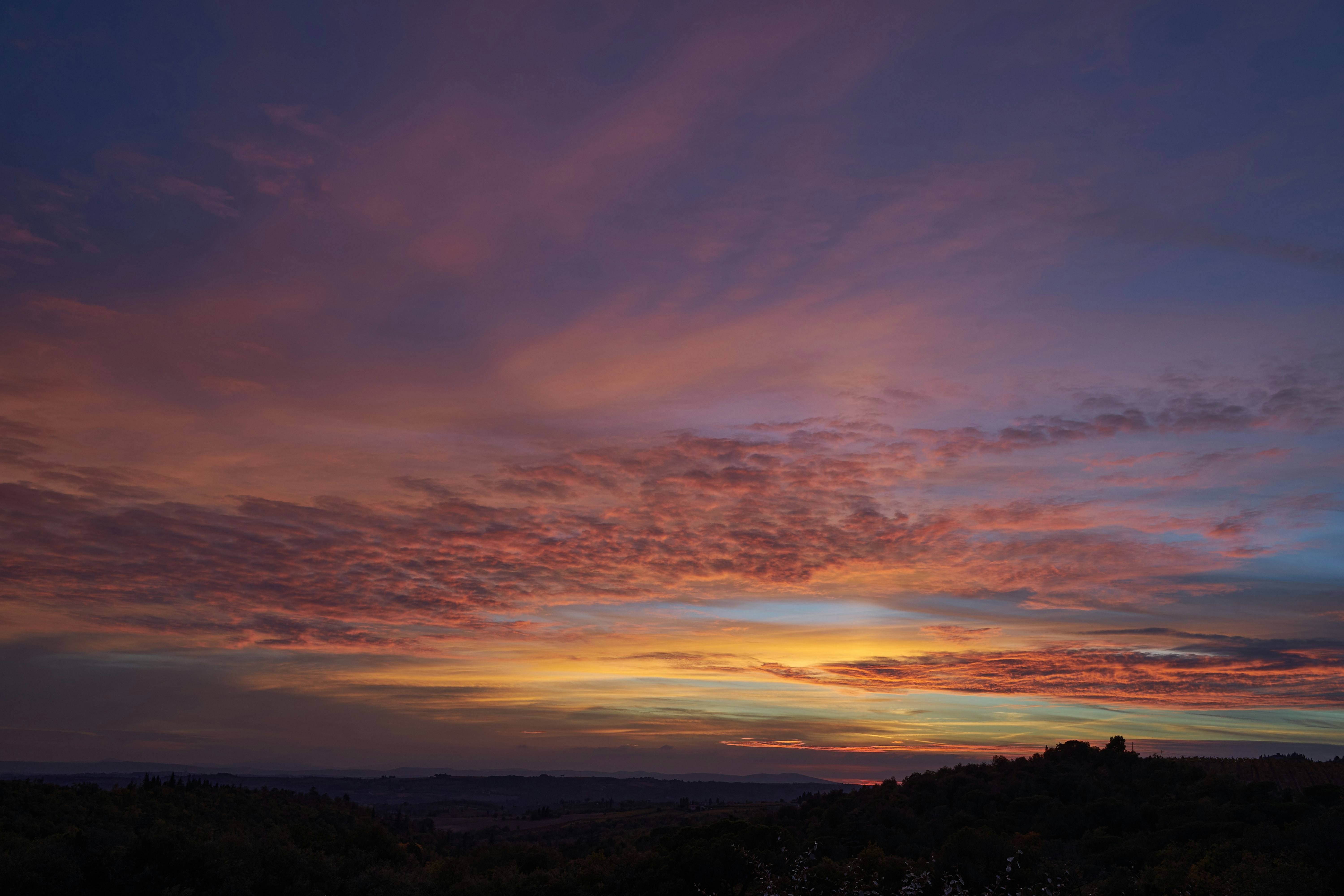 Photo by wolfgang_hasselmann