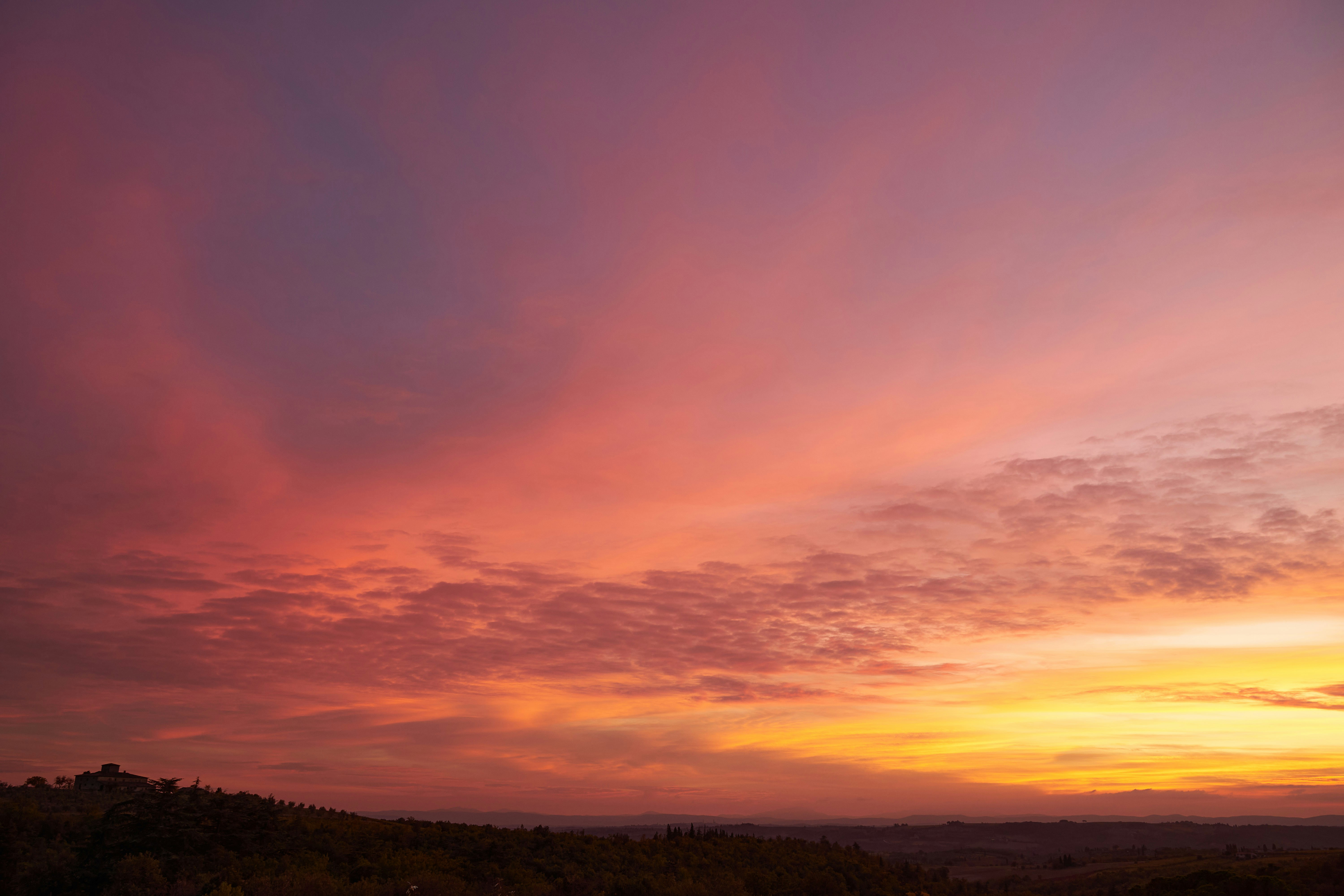 Photo by wolfgang_hasselmann