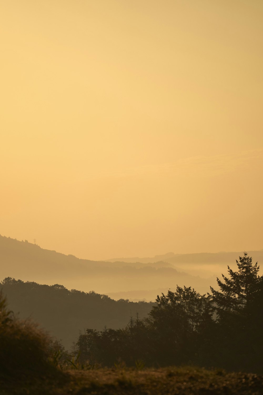 a view of a mountain range with trees in the foreground