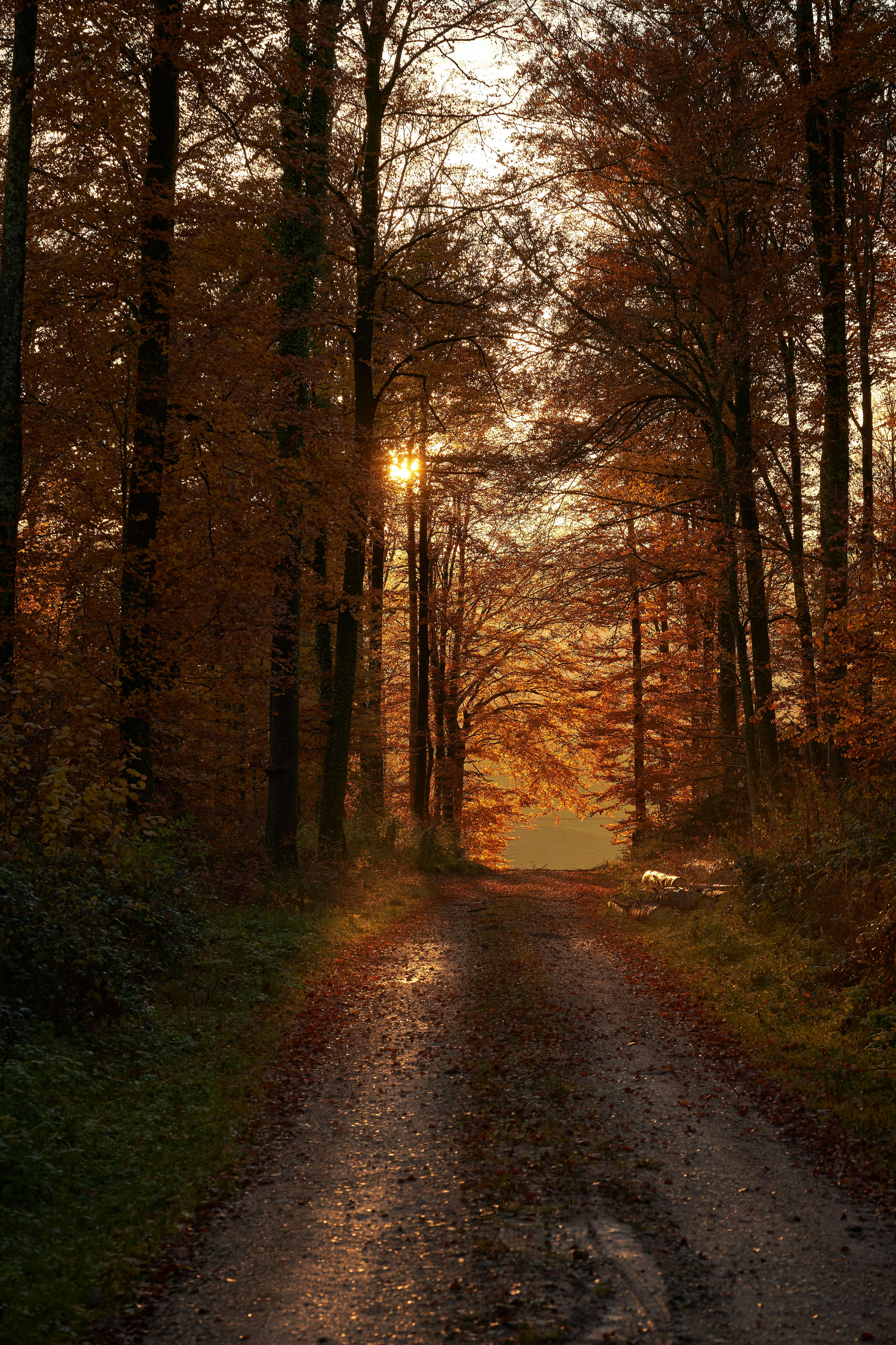 Photo by wolfgang_hasselmann