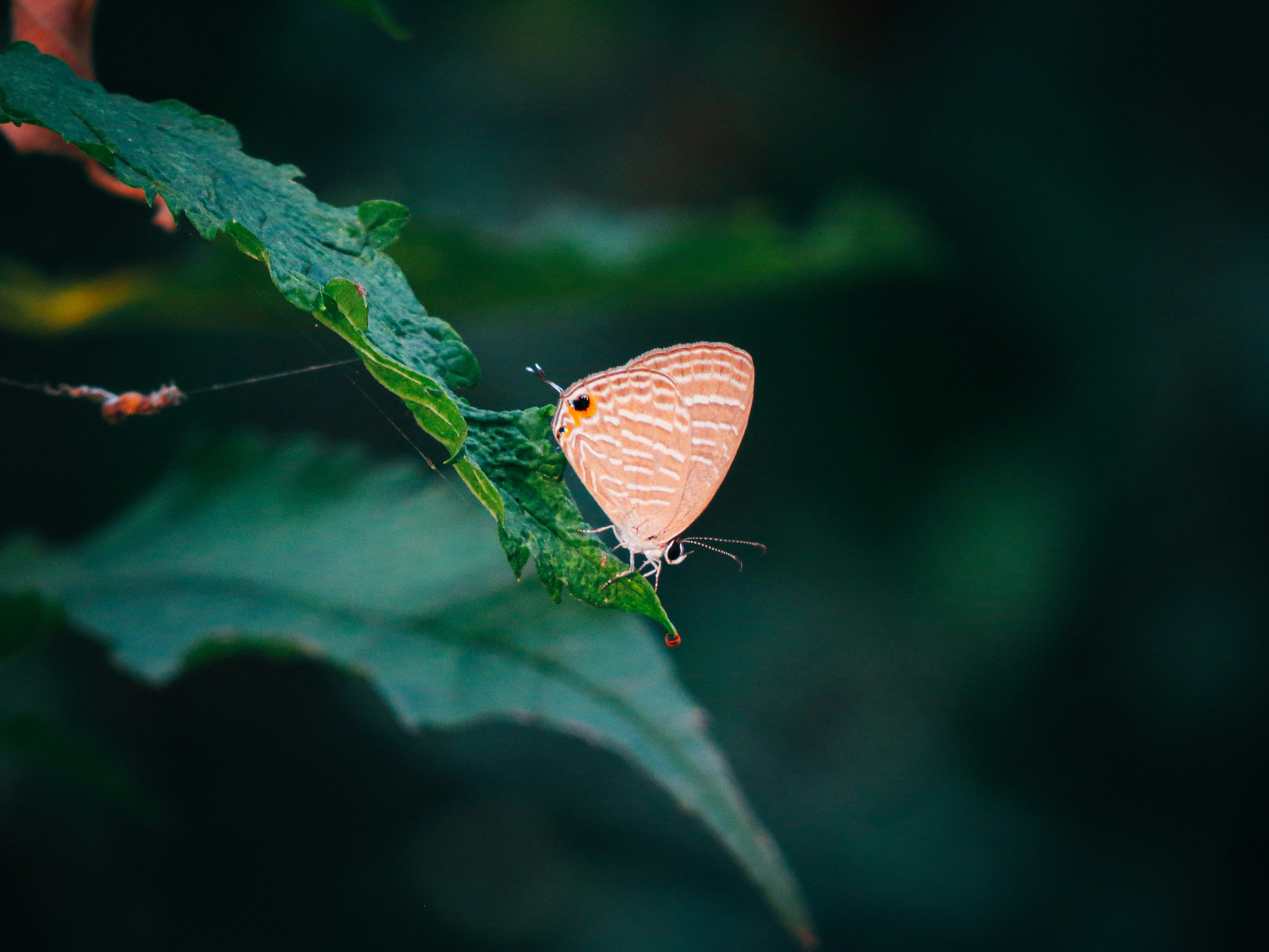 Photo by anandramavath_786