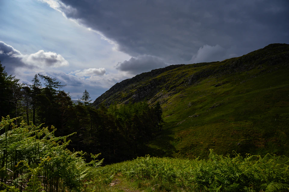 The image depicts a serene landscape with a lush green hillside, dotted with trees and bushes. The sky above is filled with clouds, casting a soft light over the scene. A dirt path winds its way up the side of the hill, disappearing into the distance. In the foreground, there are several trees standing tall on either side of the path, their leaves rustling gently in the breeze.