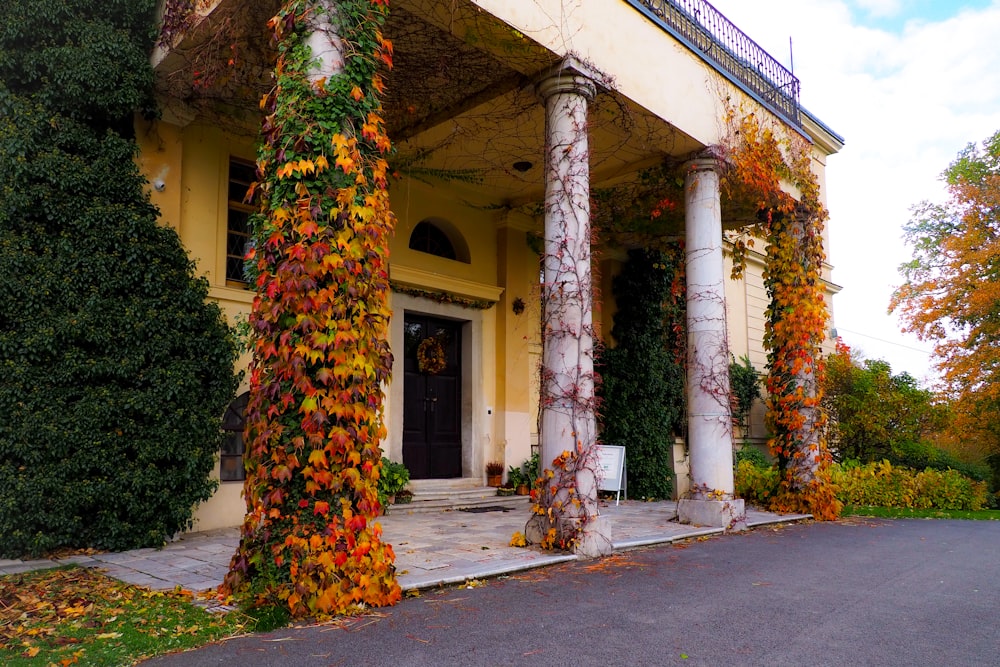 a house covered in vines and vines next to a road