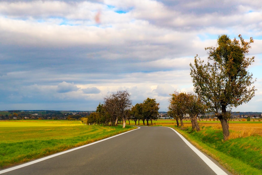 an empty road with trees on both sides