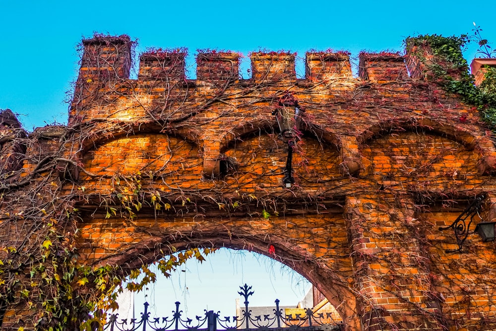 an old brick building with vines growing on it