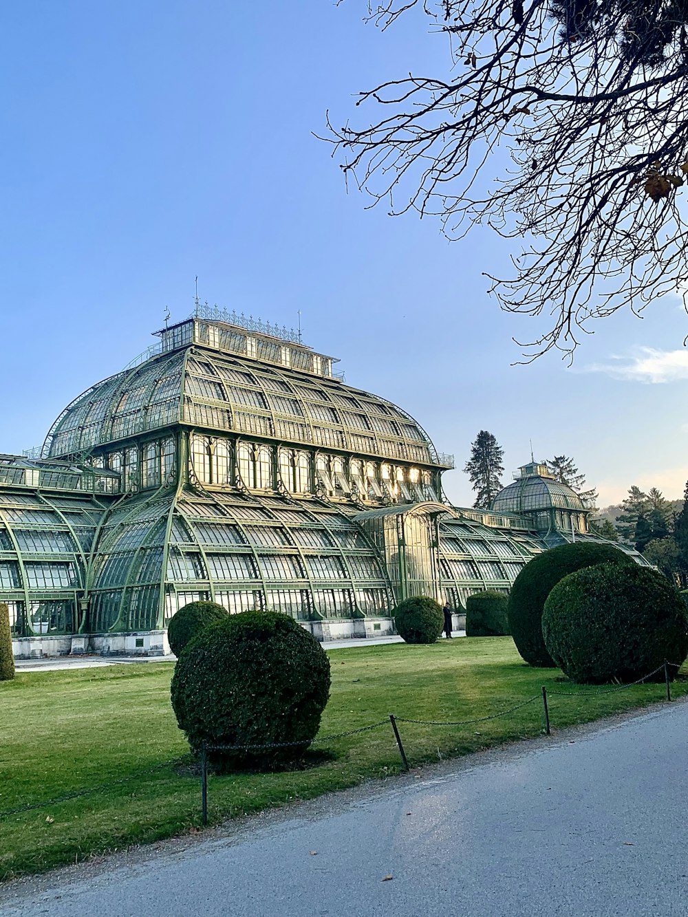 a large glass building sitting in the middle of a park