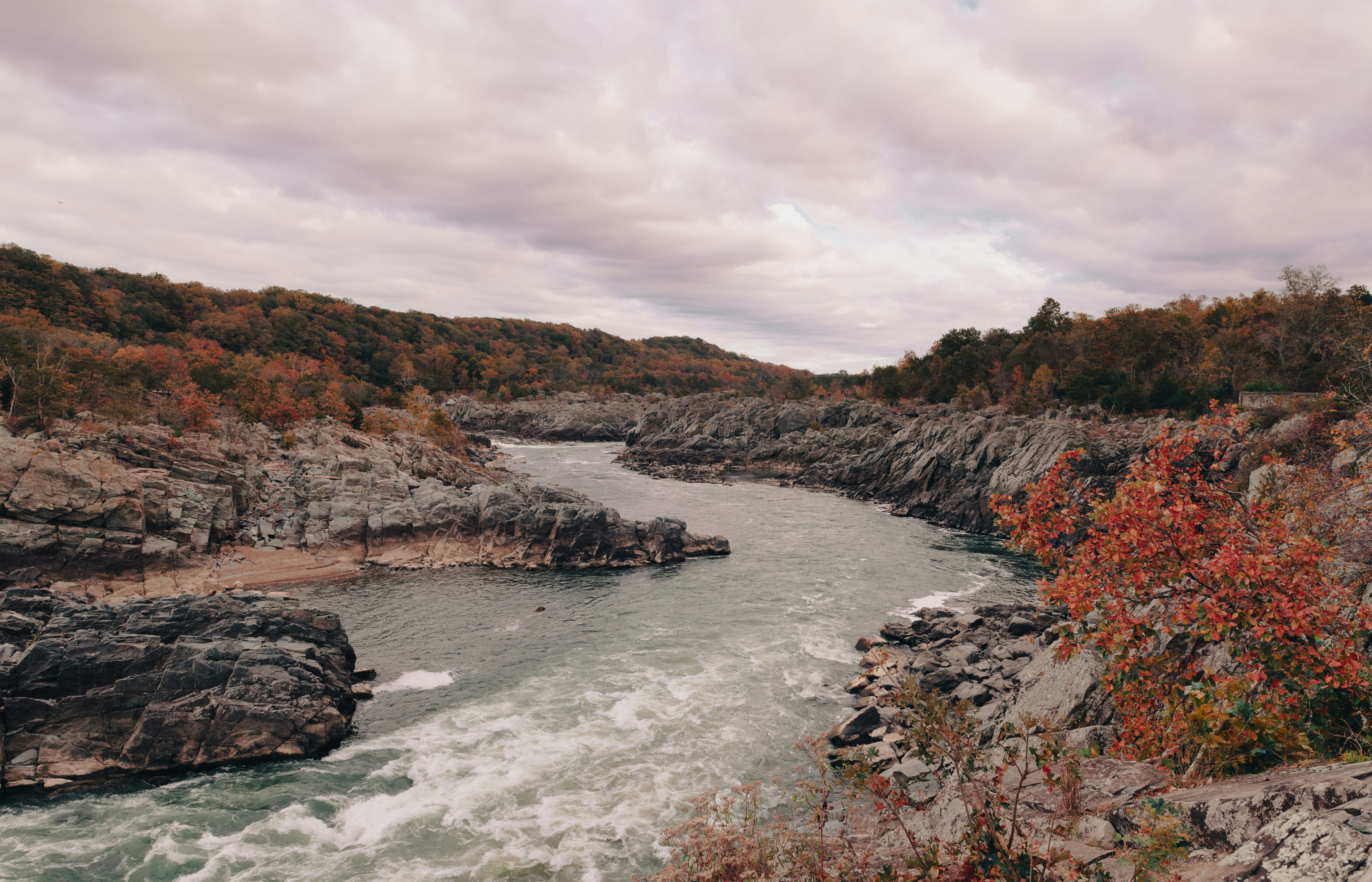 Photo by sriniunsplash