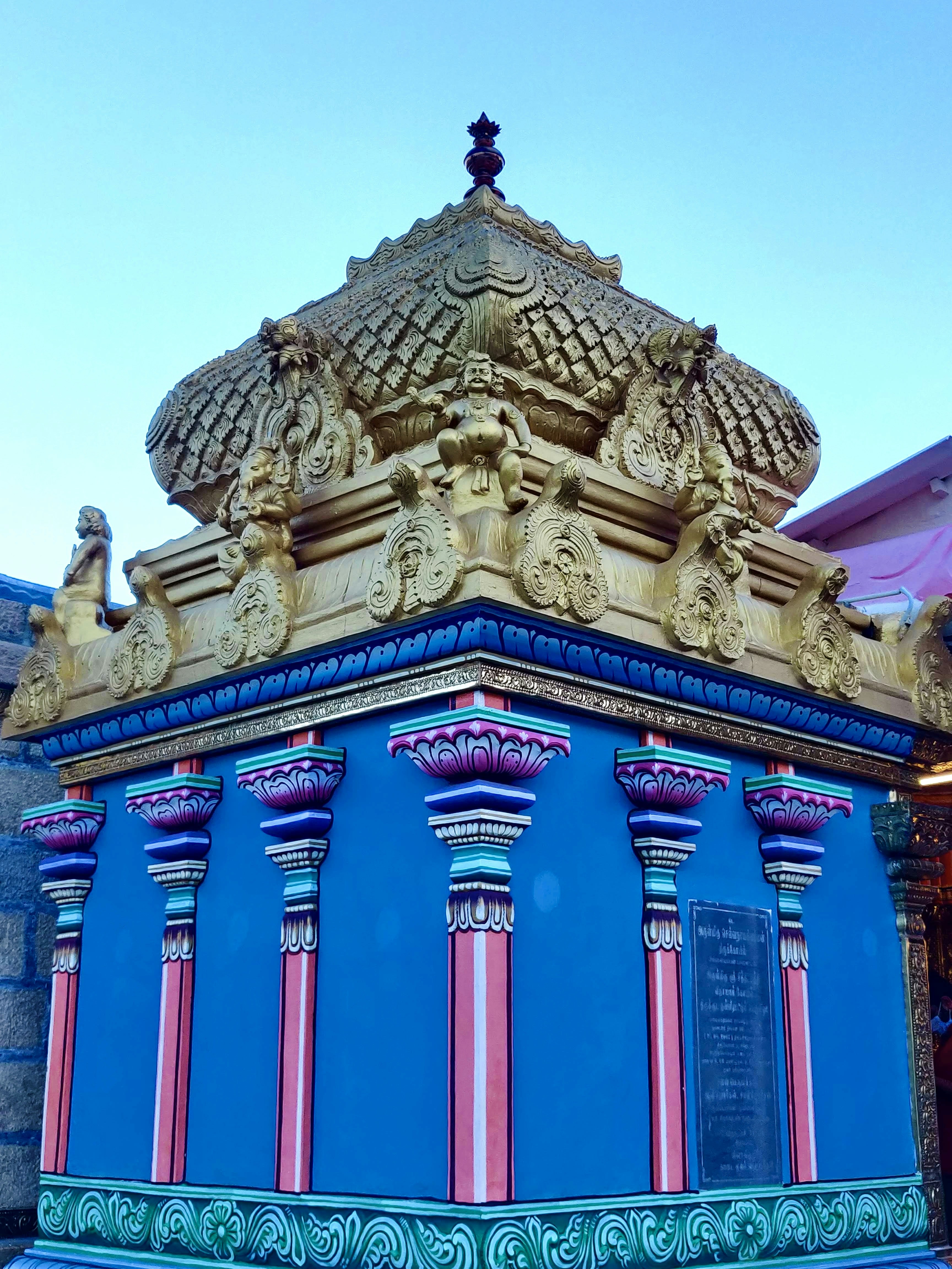 Photo by pratibhachauhan99