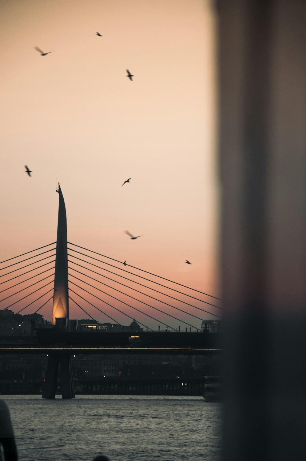 birds flying over a body of water with a bridge in the background