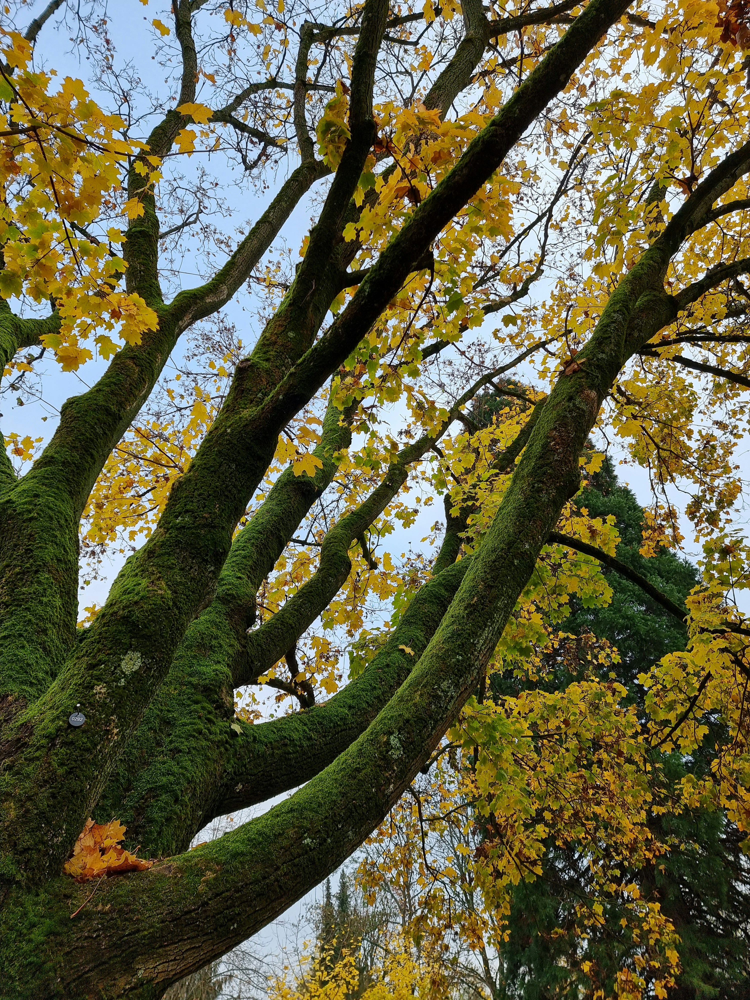 Photo by chrissi_herbst