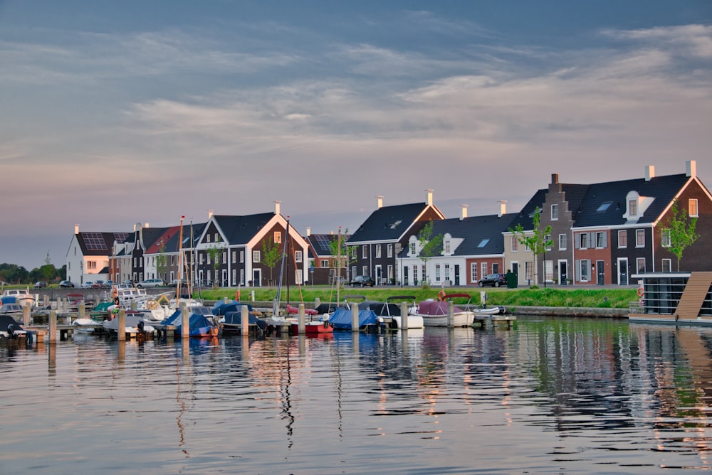 a row of houses next to a body of water