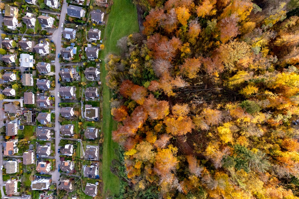an aerial view of a neighborhood in the fall