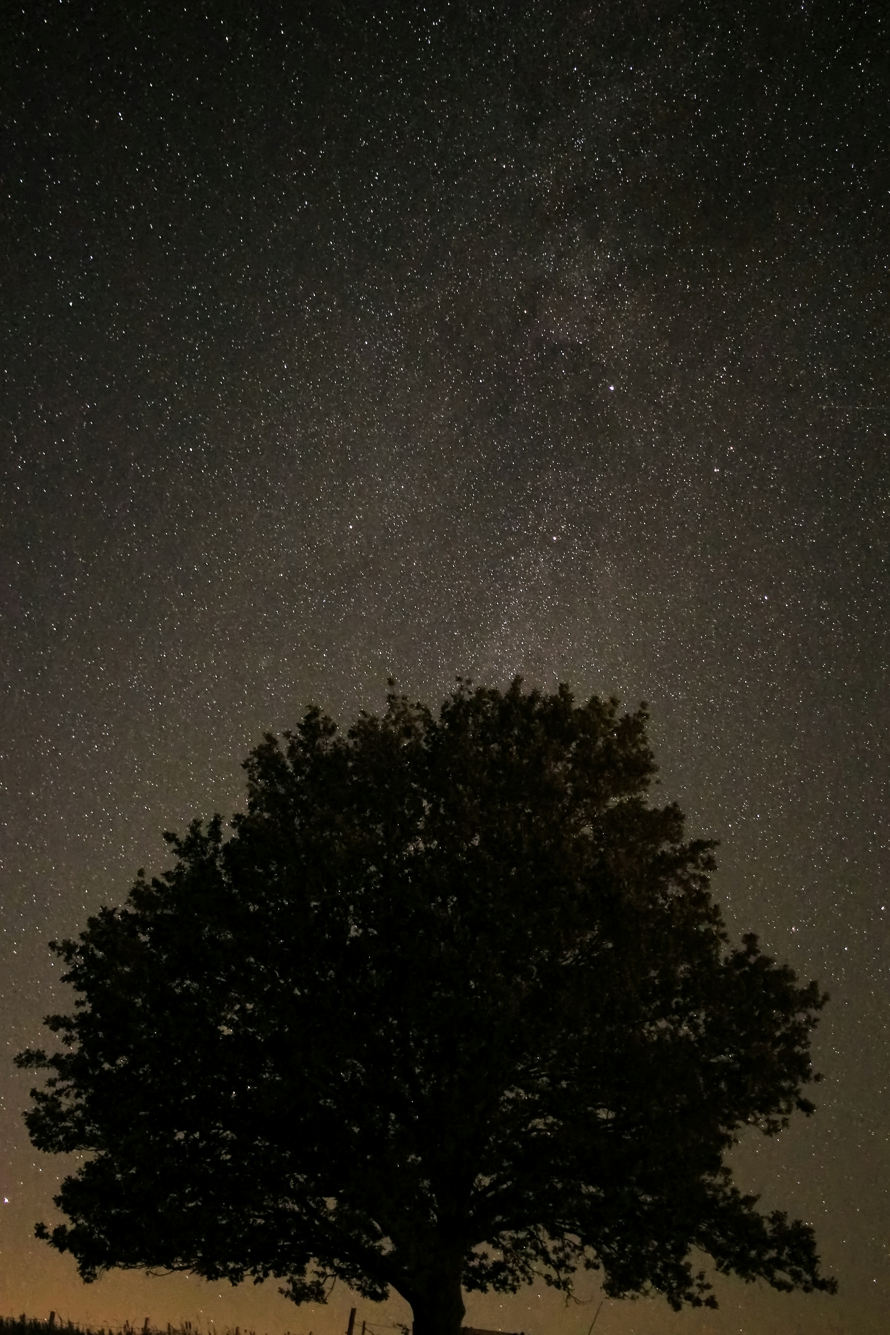 Photo by jonasmitdemb