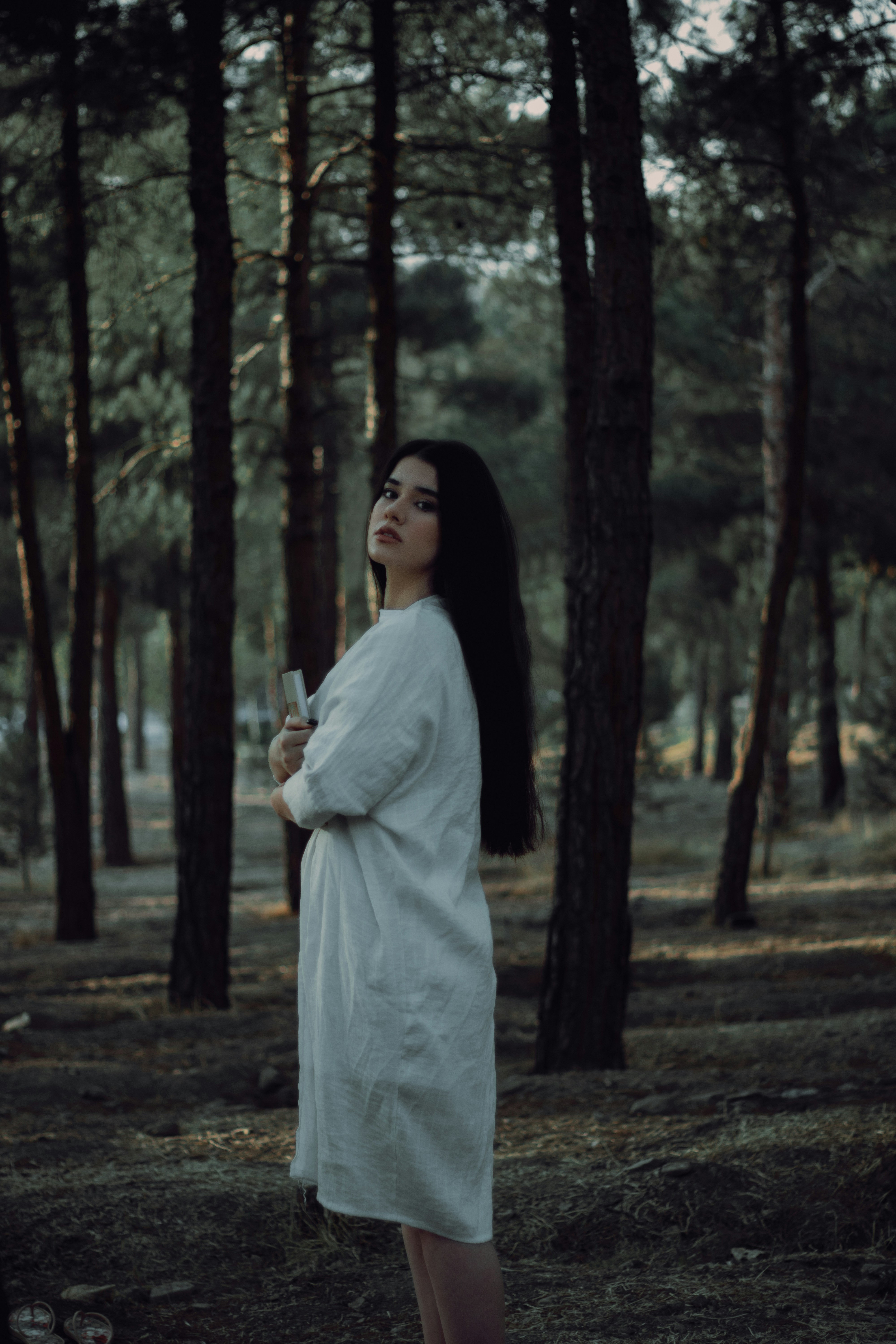 Photo by navidsohrabi