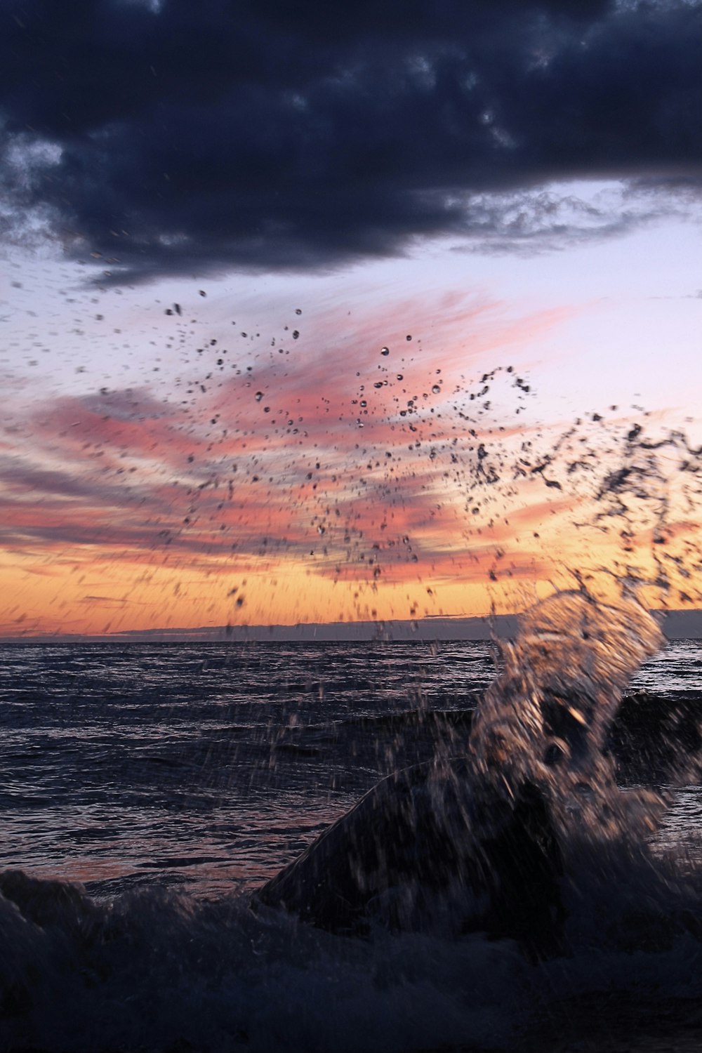 um bando de pássaros voando sobre um corpo de água