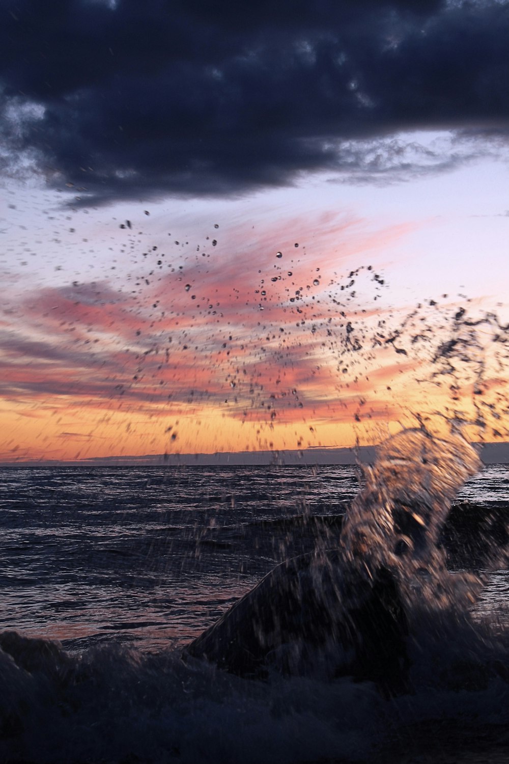 a flock of birds flying over a body of water