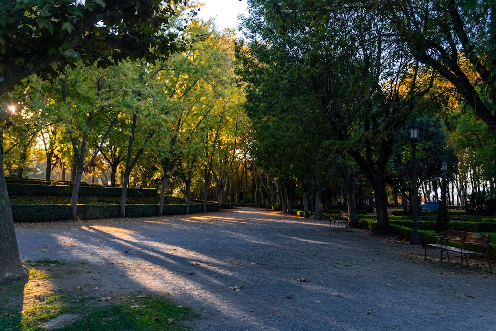 the sun is shining through the trees in the park