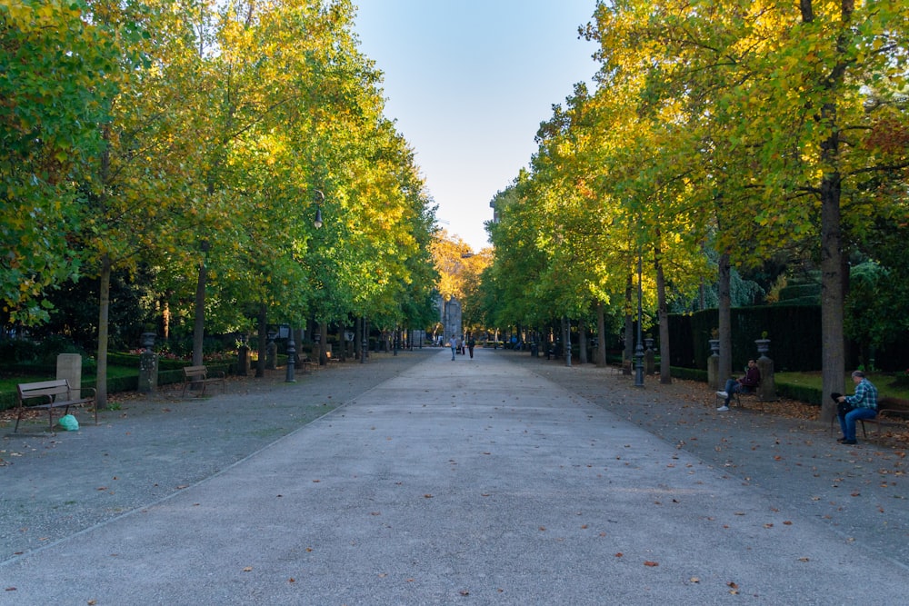 a person sitting on a bench in the middle of a park