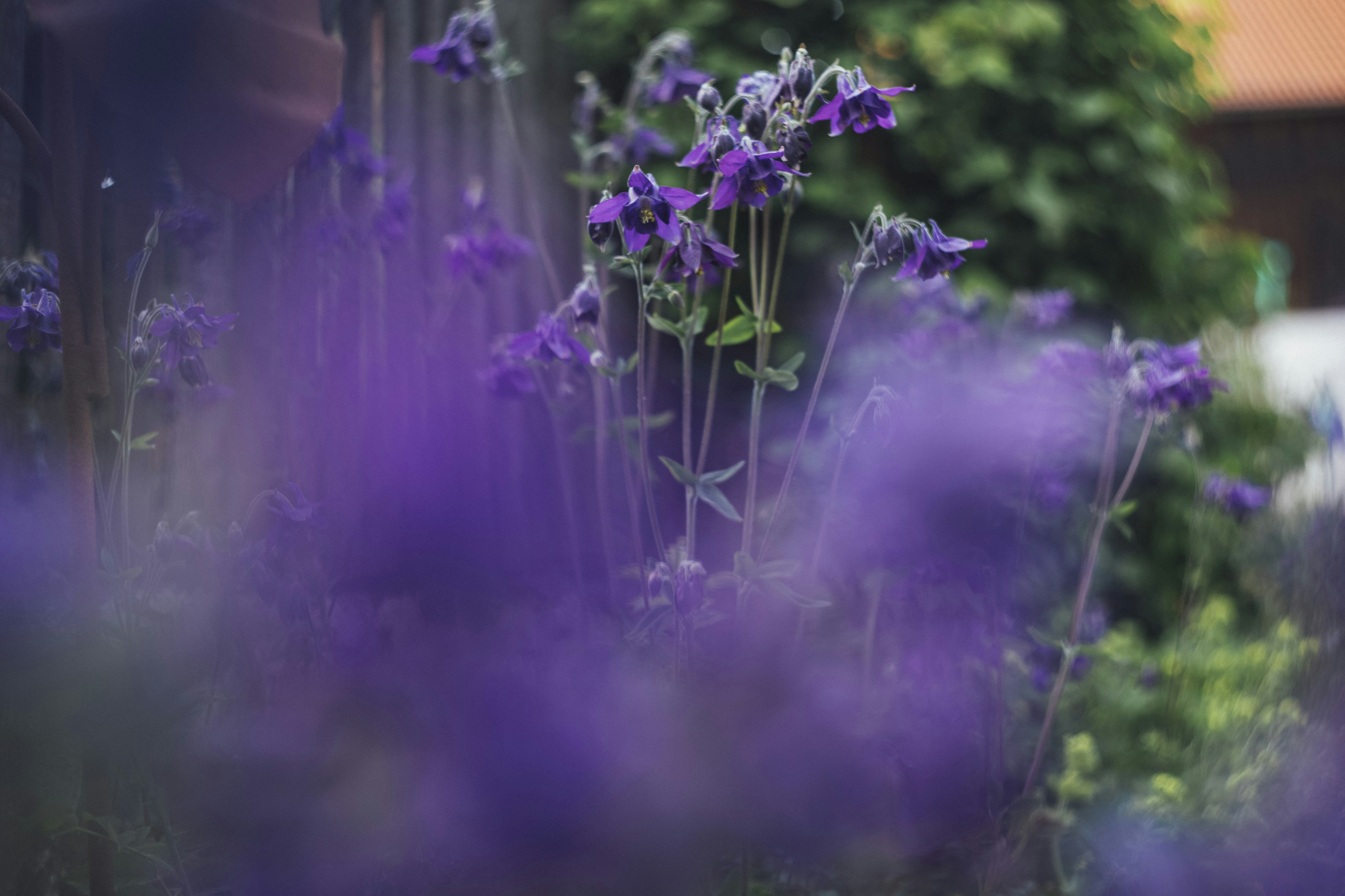 Photo by markusspiske