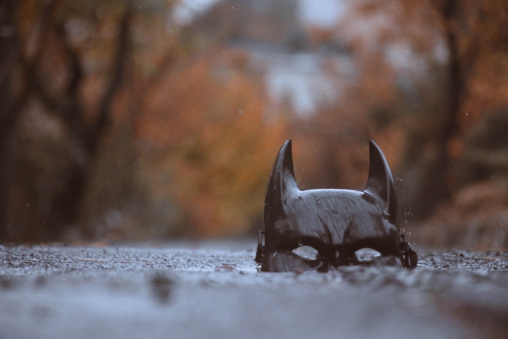 a statue of a dog is in the middle of a road