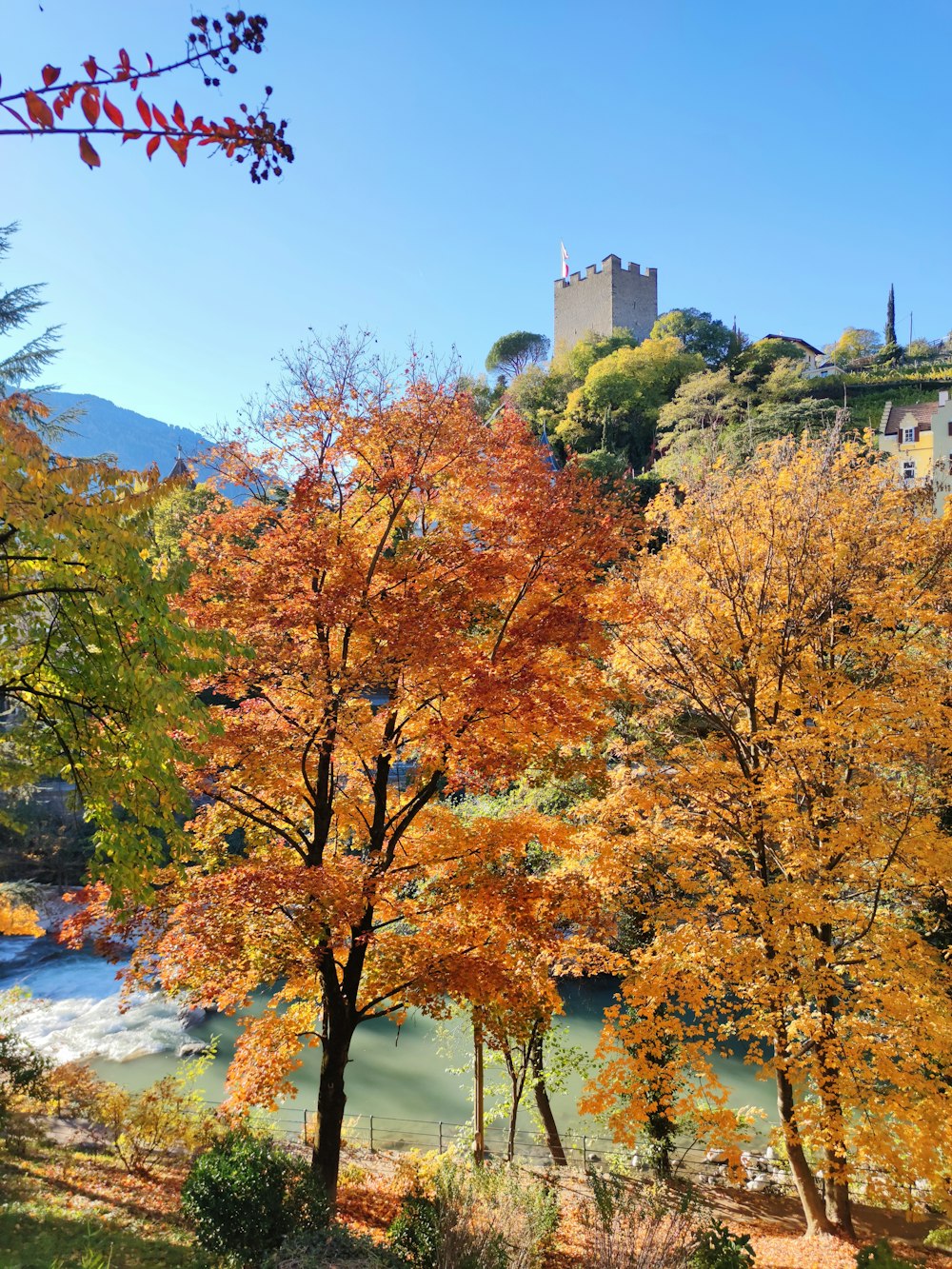 a river surrounded by trees with a castle in the background