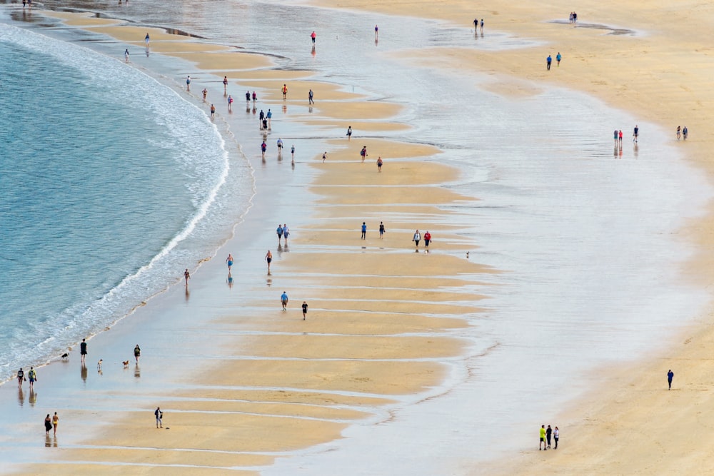 a group of people standing on a beach next to the ocean