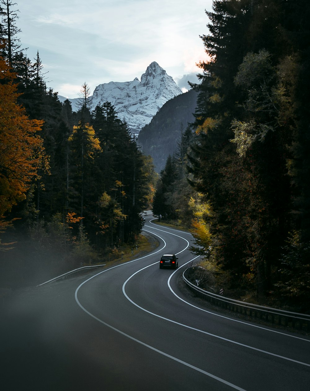 a train traveling down train tracks near a forest