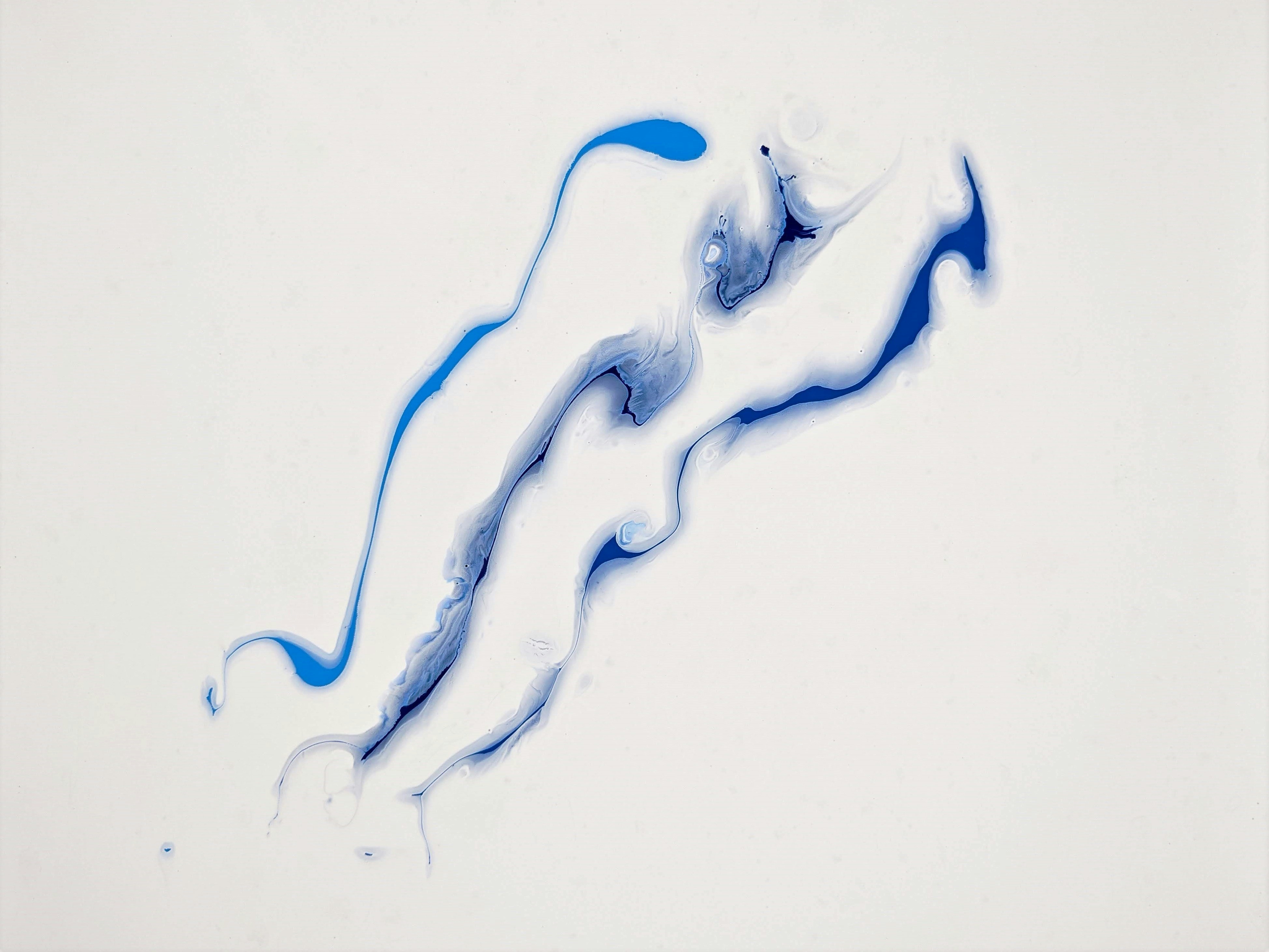 How Inheritance Rules Shaped Wealth Distribution Across Generations