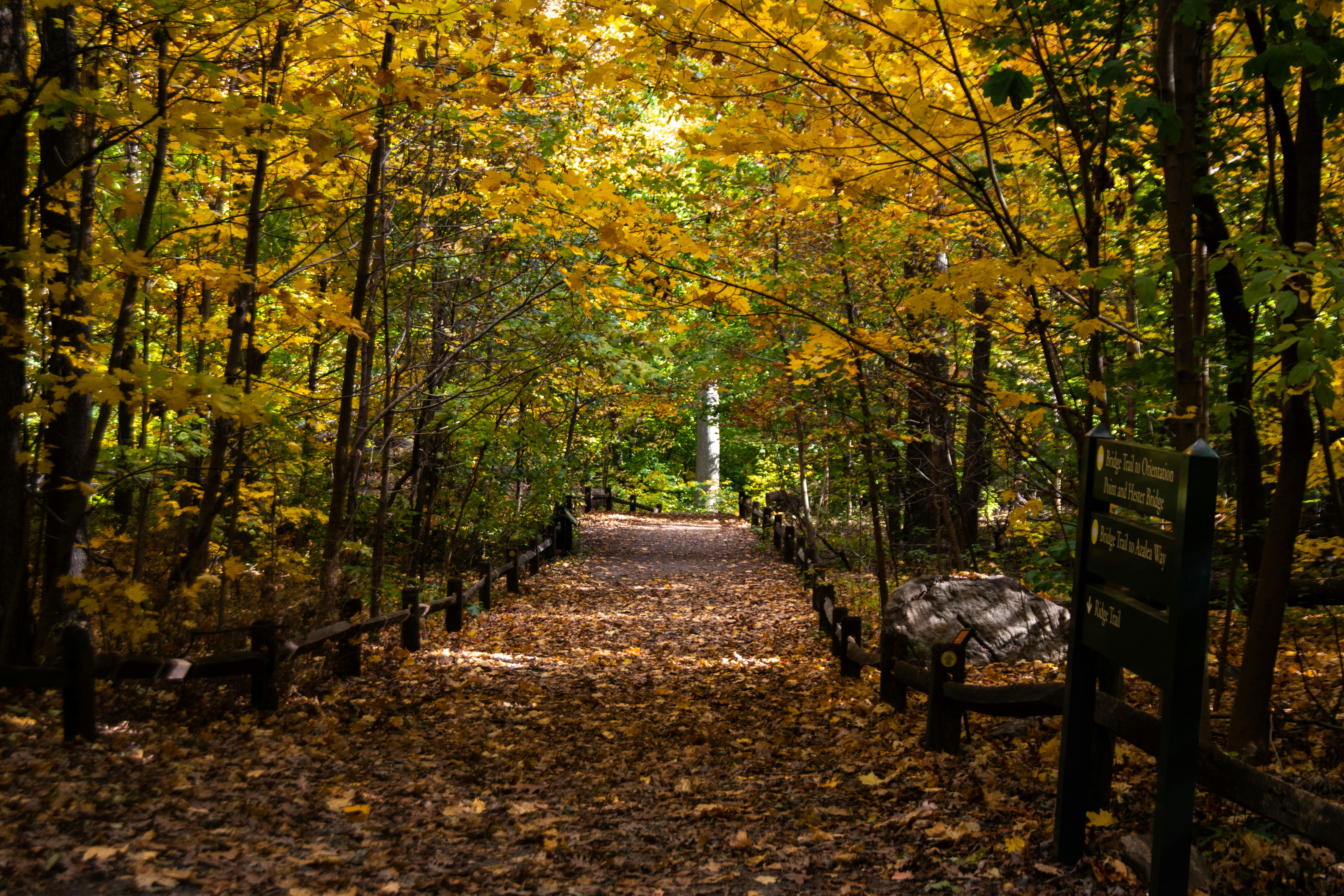 Photo by coronado198i