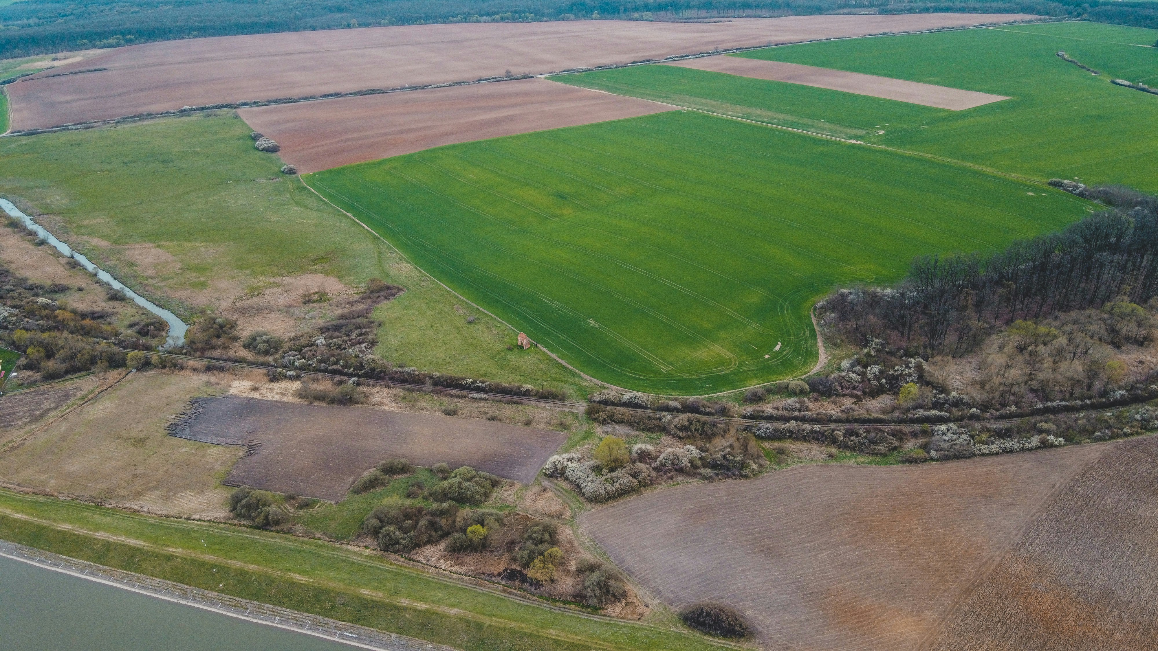 Photo by czapp_arpad