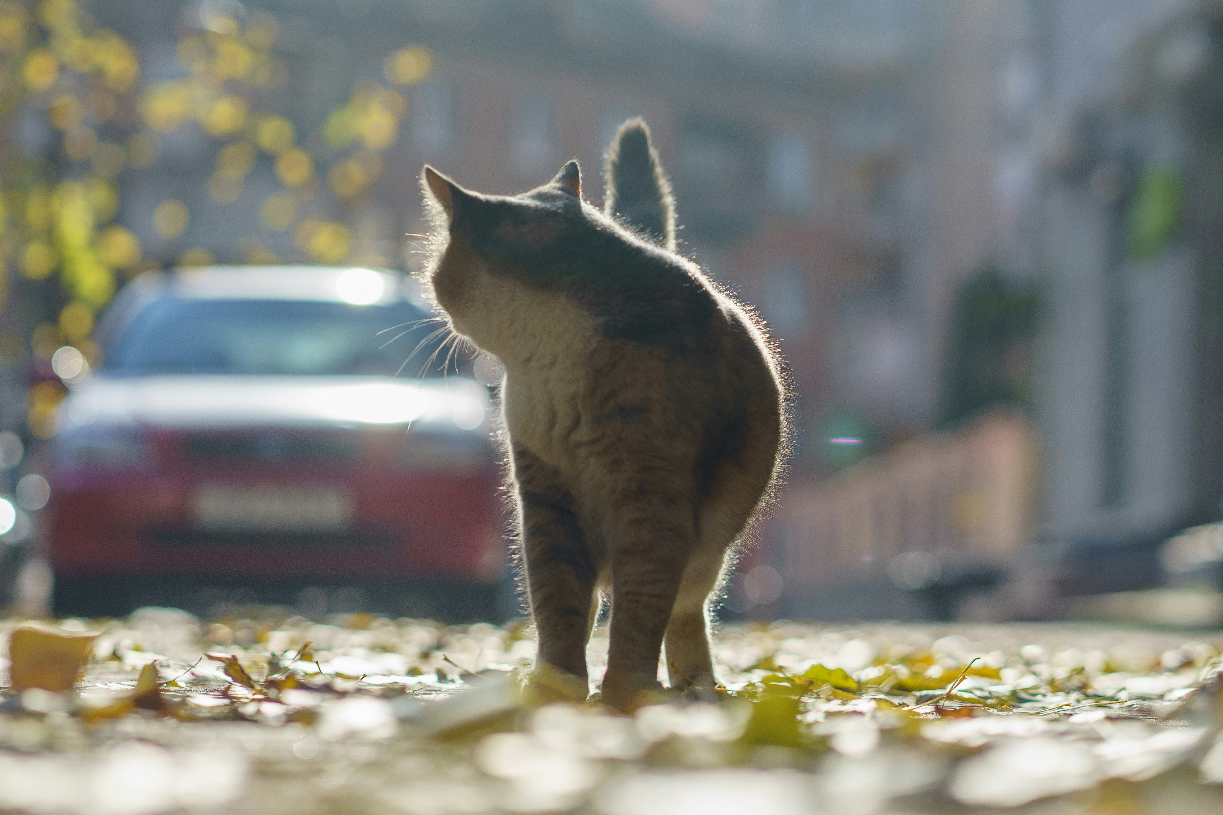 Photo by eugenechystiakov