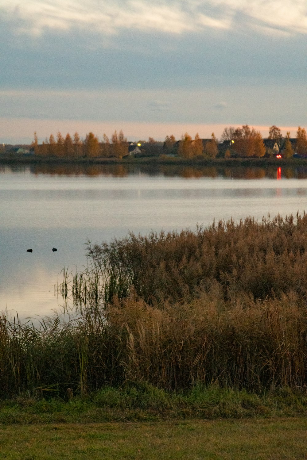 a large body of water sitting next to a lush green field