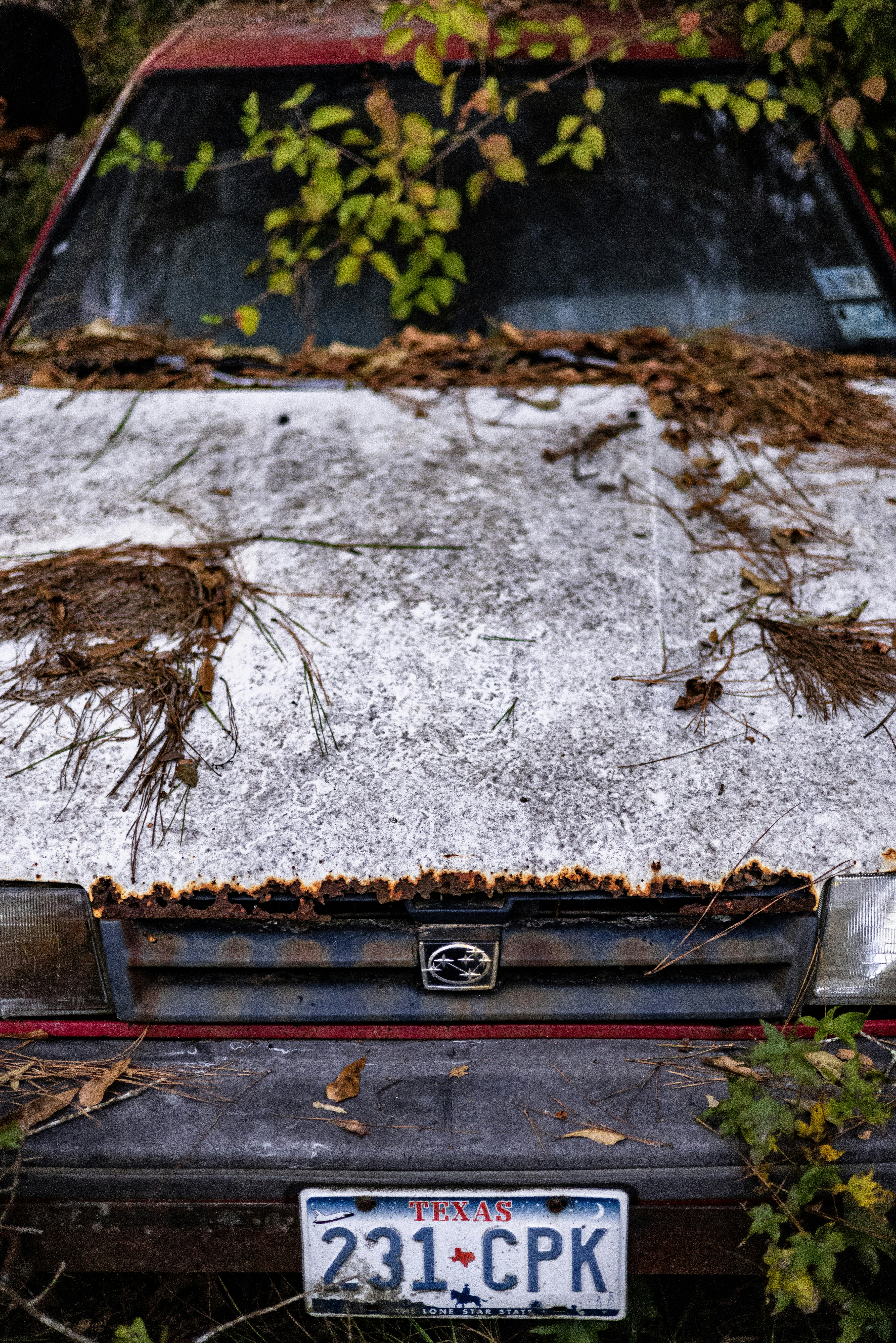 ein altes Auto mit Schnee bedeckt in einem Waldgebiet