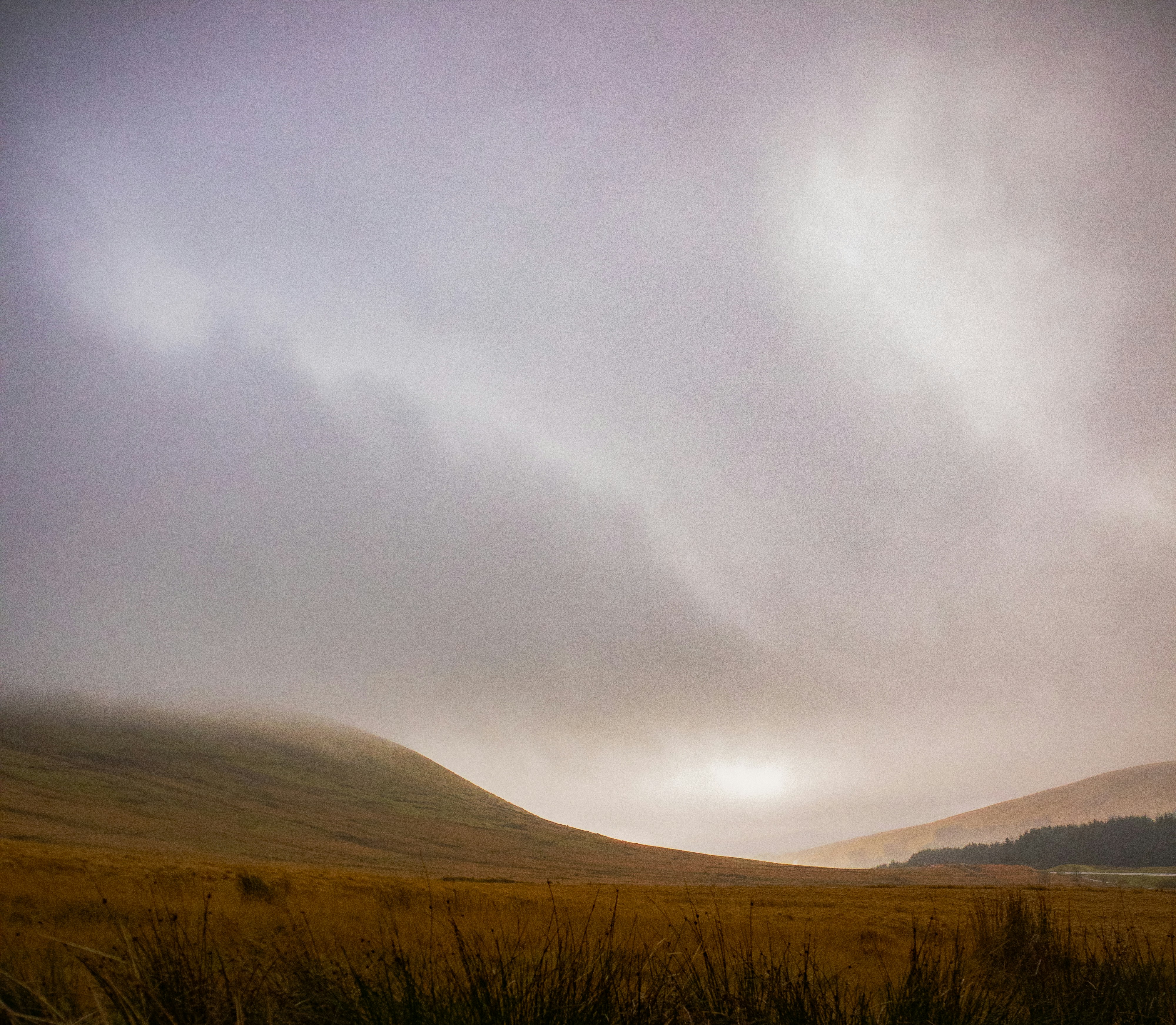 Photo by bcm_photography