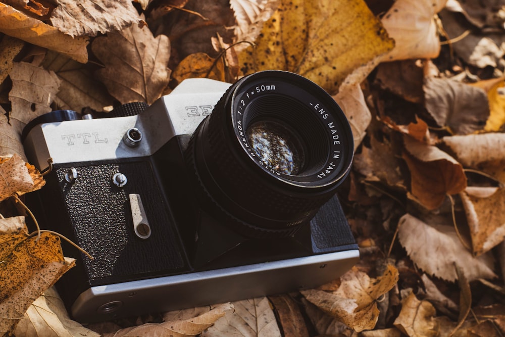 a camera sitting on top of a pile of leaves