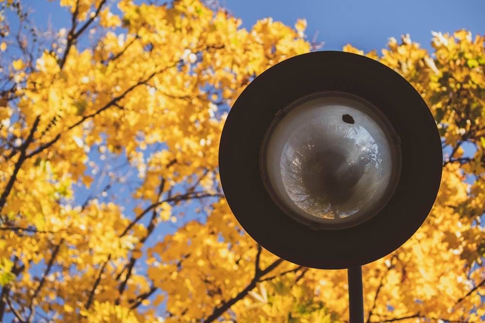 a close up of a street light with trees in the background