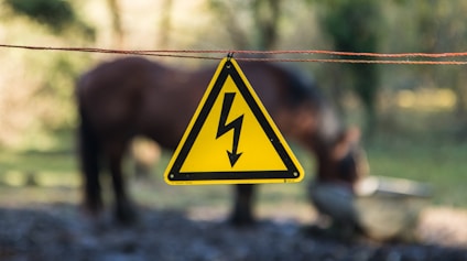 a horse grazing in a field behind a warning sign