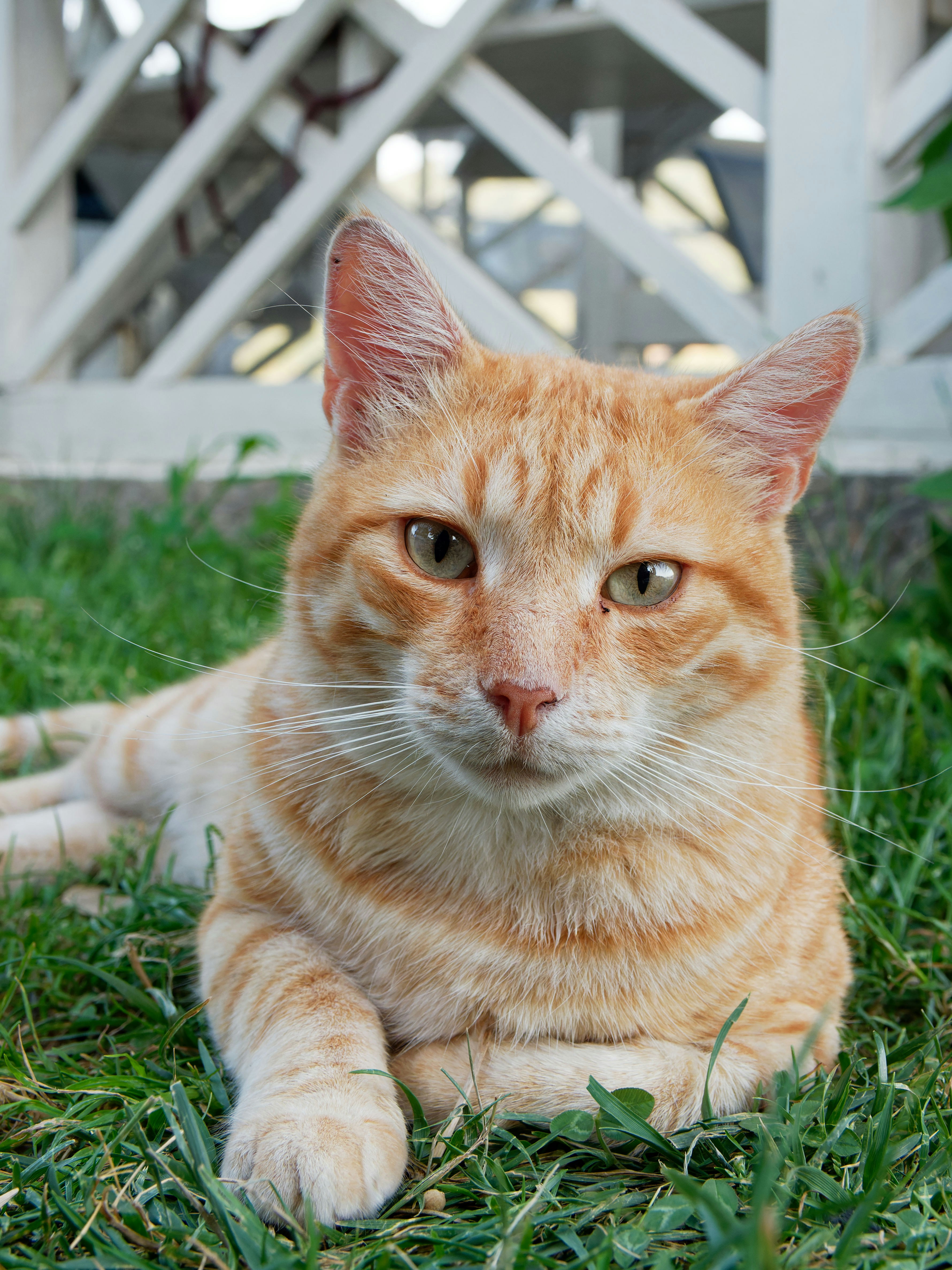 Photo by illes_cristi