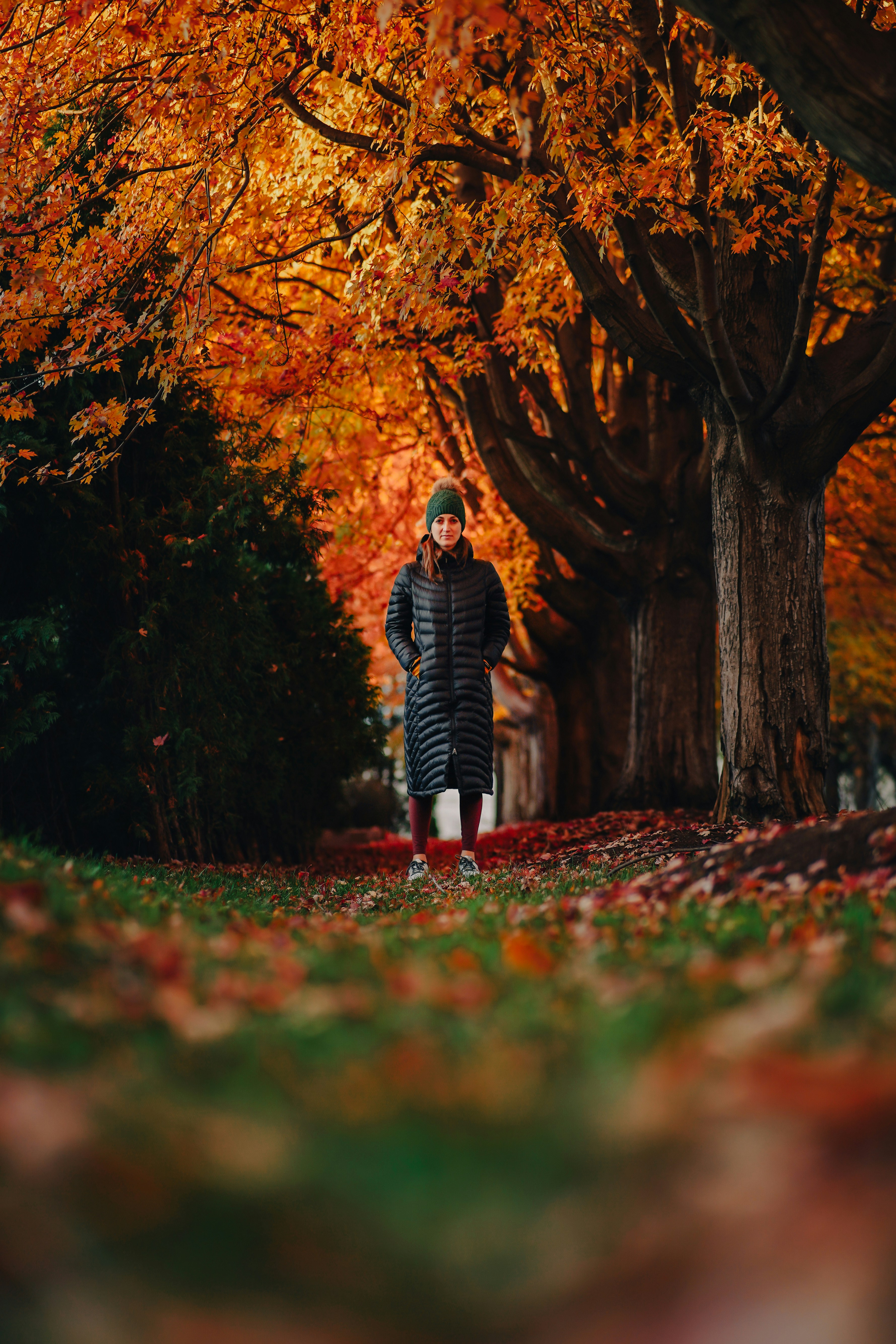 fall coat wallpaper, wallpaper, Outerwear Colors: Choosing What Suits Your Wardrobe 6